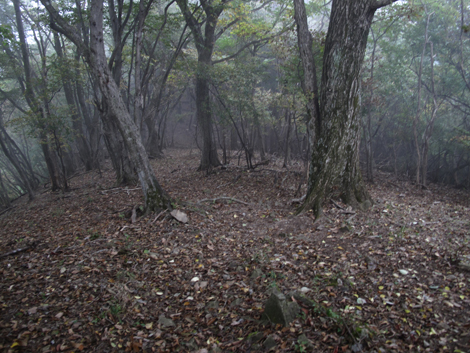 20151021hike (283)